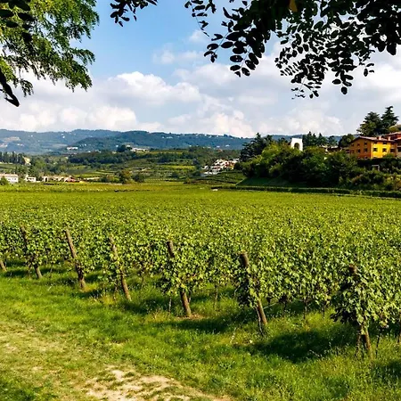 La Fonte Degli Dei 12&2 Pedemonte